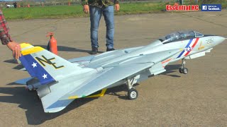 GIANT SCALE RC TWIN TURBINE JET ENGINE F-14 TOMCAT (IN-FLIGHT WING SWEEP)