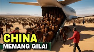 China Released Horses into a Dead Desert - 5 Years Later Something Unexpected Happened!‼️