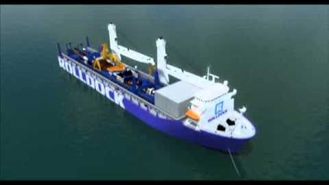 float in float out.flv