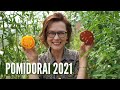 Pomidorų veislės 2021: kas pasiteisino ir kas nuvylė