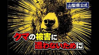 山梨県／ツキノワグマ出没に対する注意について