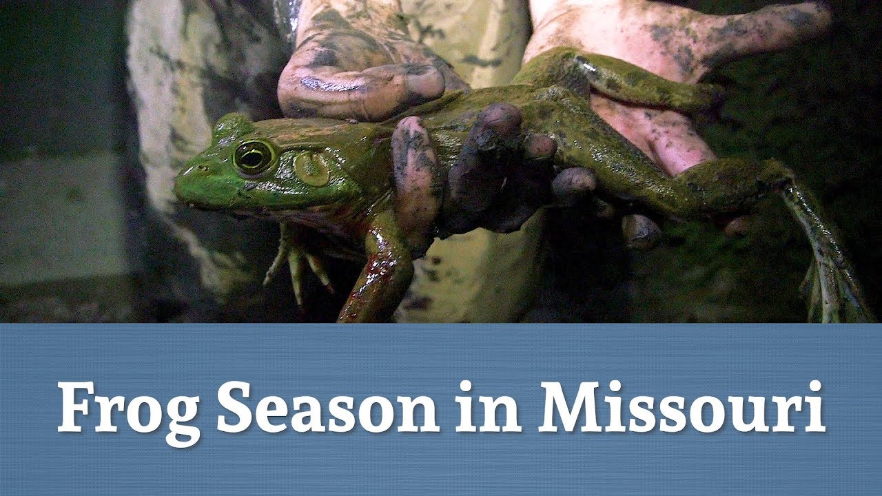 missouri government test Go Frogging in Missouri