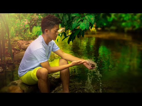I'm very much happy living alone | Life in the Tropics
