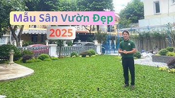 Thi Công Sân Vườn Đẹp tại Làng chuyên gia Oasis | Cảnh Quan Sân Vườn Đẹp Với Thảm Cỏ Gừng Thái Lan