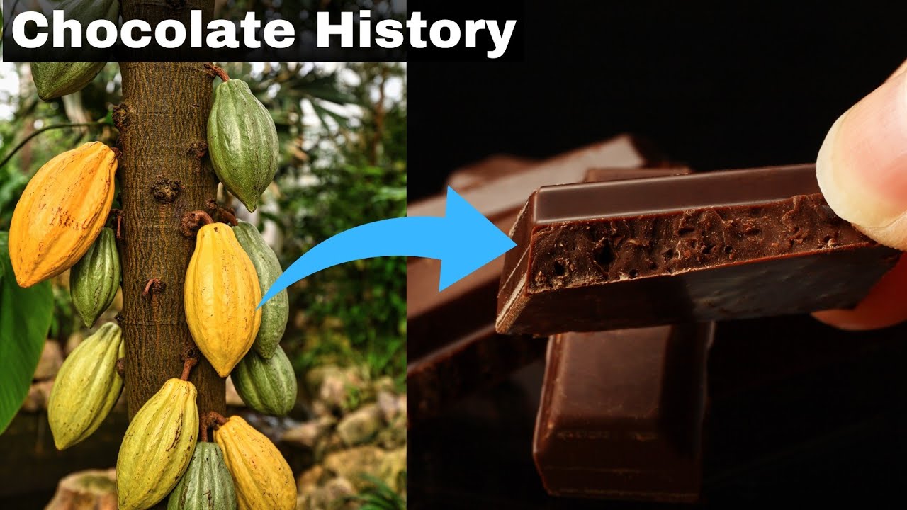 History Of Chocolate | چاکلیٹ کی تاریخ | How Chocolate Was Made |  चॉकलेट का इतिहास#chocolate #spain