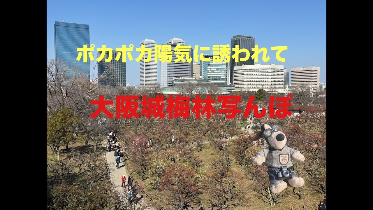 春の陽気に誘われて　大阪城梅林写んぽ