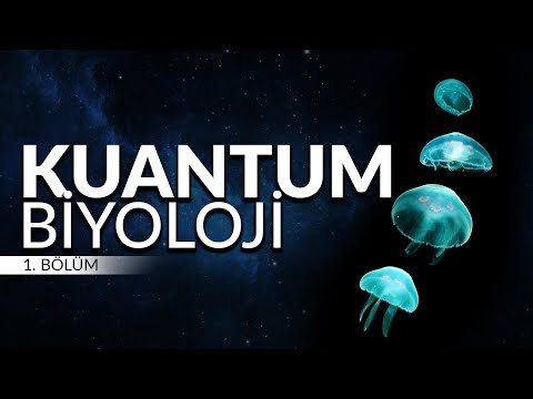 Kuantum Biyoloji: Organik Yaşamın Anahtarı