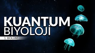 Kuantum Biyoloji Organik Yaşamın Anahtarı