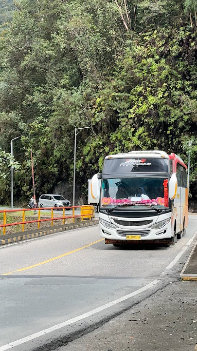 🚌Bus Pariwisata Zyehan, melewati kawasan hutan lindung Lubuak Bangku di pagi hari #busmania #fypシ