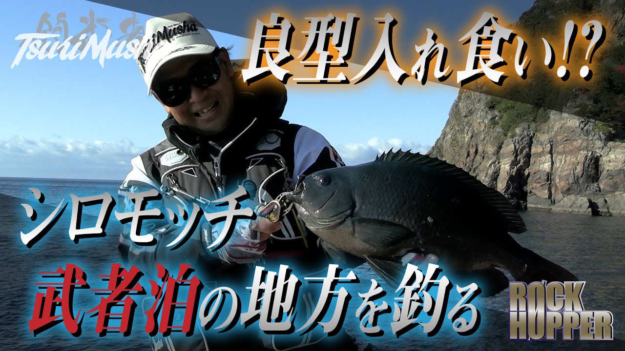 武者泊の激熱ポイント！！地方の磯で城本尚史が激釣。