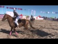 Beach polo en pinamar telpintv