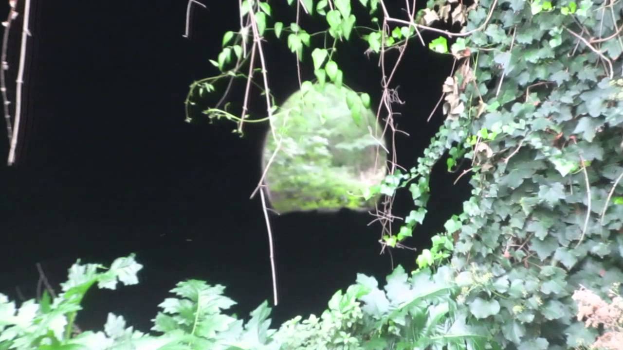 melicuccà ex linea ferrata gioia tauro sinopoli