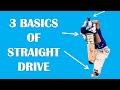 Cricket batting basics  3 basics of straight drive  cricket coaching for kids  straight drive