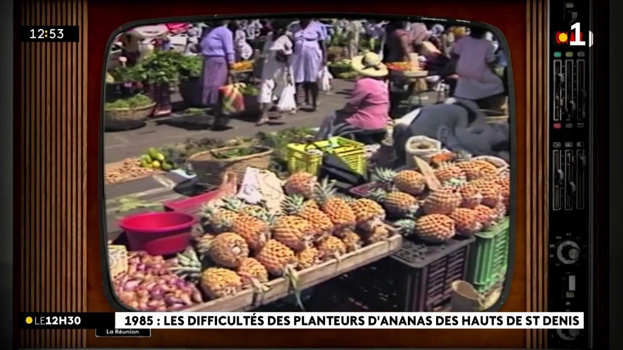 Dans le rétro : gros plan sur la filière ananas dans les hauts de Saint-Denis en 1985