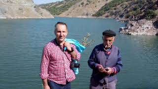 Yare Yare Şehri̇ban