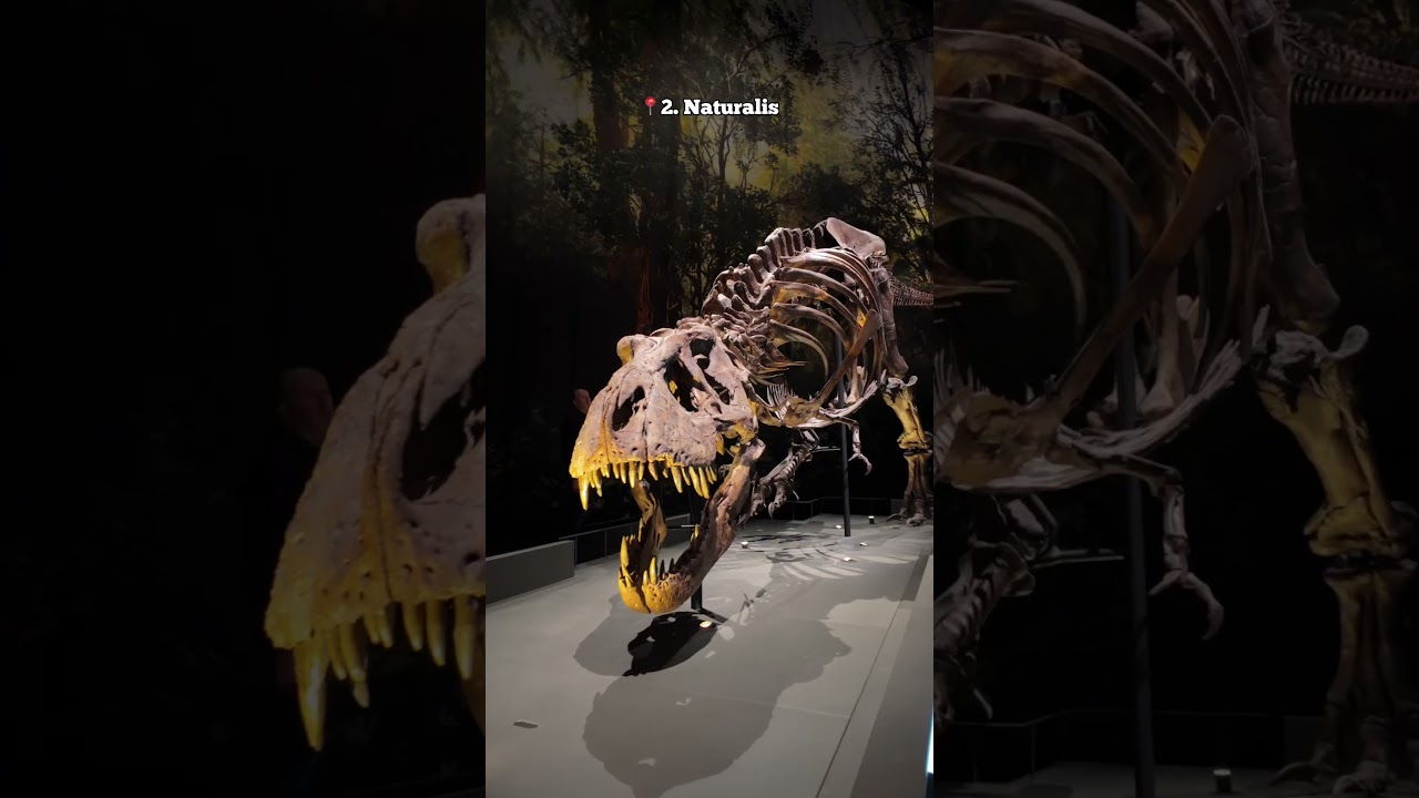 4 museums you should visit in the Netherlands😍 (zuid-holland)