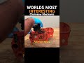 World's Most Interesting Chainsaw Mechanic Installs Head #chainsaw #restoration #husqvarna