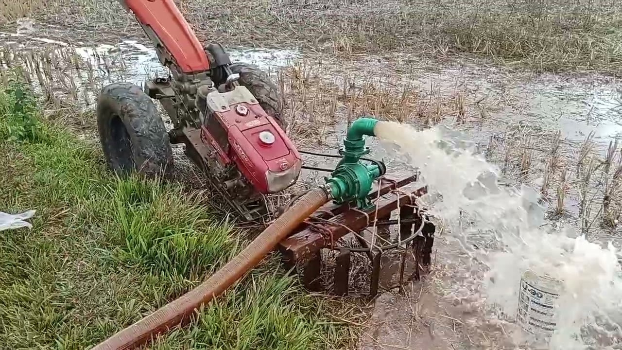 มาตันน้ำหาปรากันทุกคน