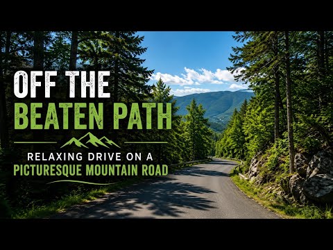 Off the Beaten Path - Relaxing Drive on a Picturesque Mountain Road