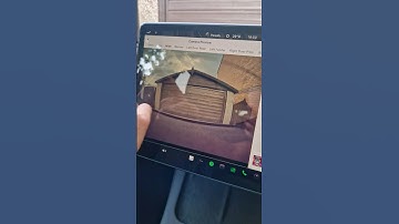 Tesla Model Y All Camera Previews