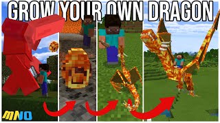 Grow Your Own Dragon - Addon for Minecraft Bedrock screenshot 2