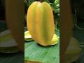 kamranga makha🤤||star fruit#taramini kitchen#shorts #shortsvideo #food