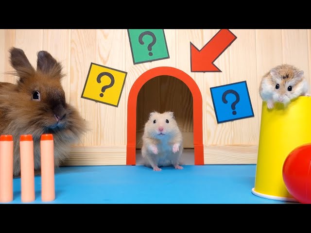 Hamster Land - Cute Pets Hamsters Column Matches Up Games