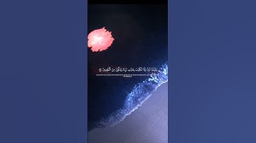 #قرآن #quran #تلاوة_هادئة #تلاوة_خاشعة #القرآن_الكريم أكتب شيئ تؤجر عليه 🙏