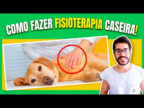 Vídeo: Pergunte a um veterinário: Por que meu cão se move para trás e para frente?