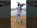 मेरे कंधे पर उड़ता हुआ मैकॉ! 🦜✨ #Shortsकुदरत का सबसे खूबसूरत दोस्त: Scarlet Macaw #forest  ritik