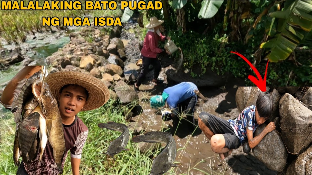 NAG LABASAN ANG MGA ISDA SA PALAYAN NATIN HABANG NAG PAPATANIM TAYO NG PALAY