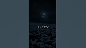 راحة نفسية حالات واتس اب قرآن مقاطع دينية قصيرة آيات قرانية ستوريات انستقرام