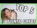 LOS MEJORES PIENSOS PARA GATOS 💯| TOP 5️⃣ de comida SECA para GATOS 🐱