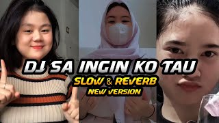 DJ SA INGIN KO TAU STYLE GEDRUK JEDAG JEDUG VIRAL TIKTOK 2023 (slow \u0026 reverb)