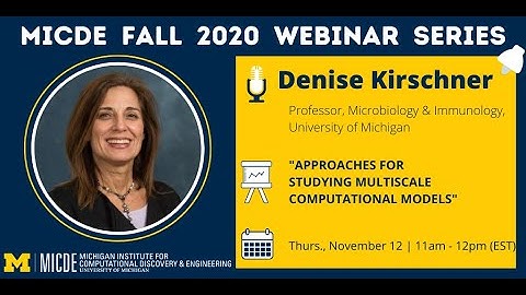 Approaches for Studying Multiscale Computational Models