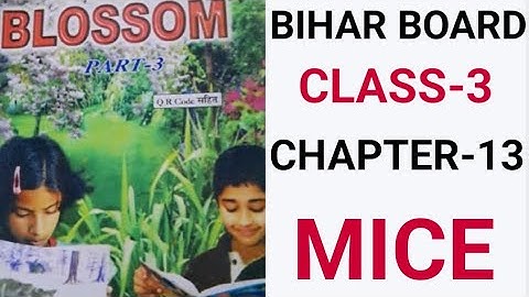 CLASS-3 English Chapter 14 Unity is strength. Blossom 3ed class english Lesson-14 bihar board