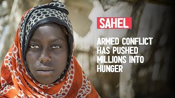 Violence in the Sahel pushes millions into hunger