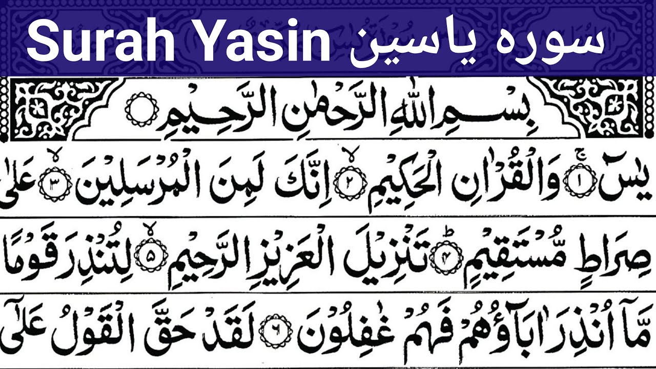 Live Surah Yaseen Surah Rahman Full | quran tilawat | Daily Quran Tilawat Surah Yasin Sura Rahman