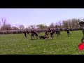 Genesee Creamers vs Rochester Aardvarks   May 1, 2021 highlights