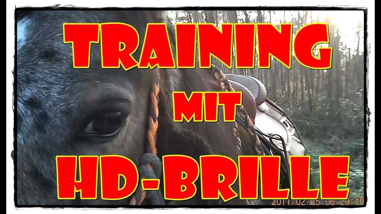 Pferde im Offenstall - Training mit Video Brille | Pferde Hoschi