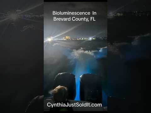 Brevard County’s #bioluminescence