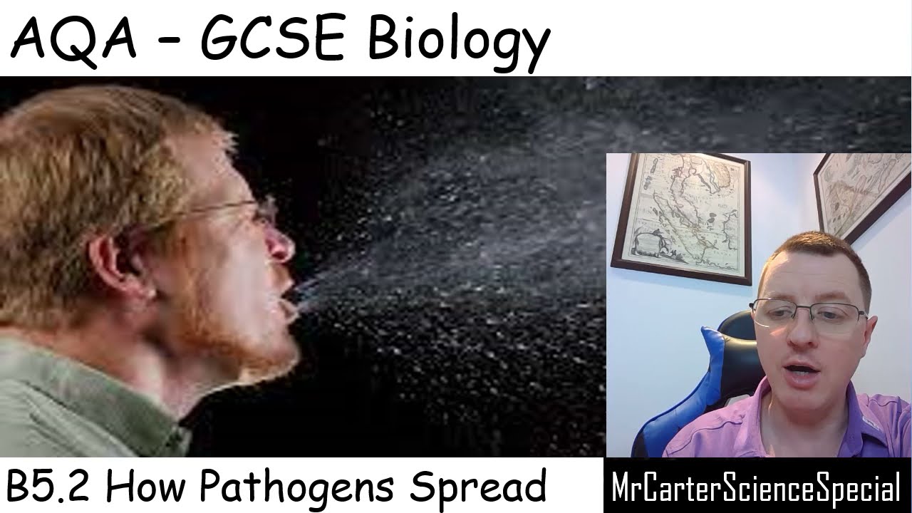 B5.2 - How Pathogens Spread - AQA Biology GCSE 9-1