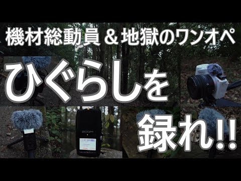 ひぐらしを録れ！！（愛知県岡崎市・幸田町）　～Beautiful scenery in Japan～