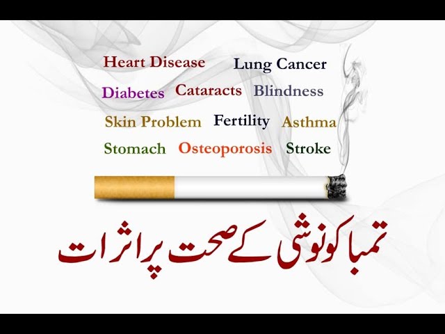 tobacco meaning in urdu Smoking and its Effects on Health (Urdu Dubbed)