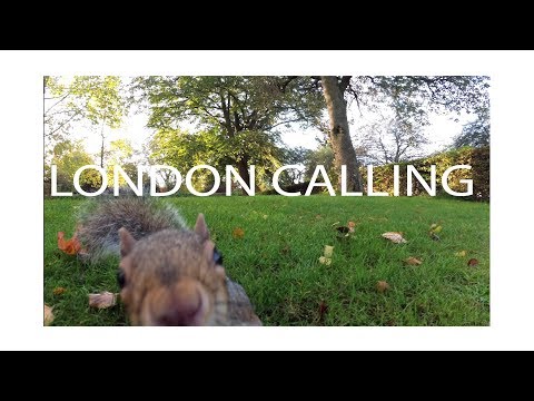 Video: Londra è La Prima National Park City Al Mondo