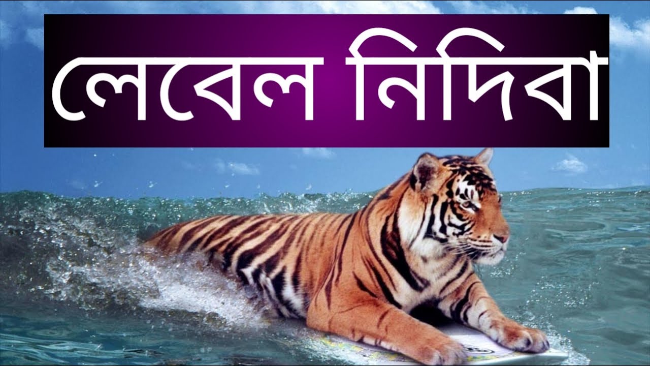ছিপাঝাৰ কলেজত দীপক শৰ্মাৰ Motivational Speech