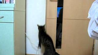 MVI_1168.AVI