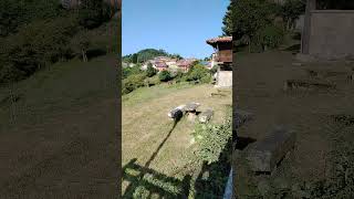 Las sombras, la mesa, los caballos y Torazo_Concejo Cabranes Principado d Asturias #españa #turismo