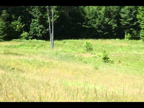745 River Road, Plainfield, NH home video tour
