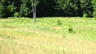 745 River Road video tour